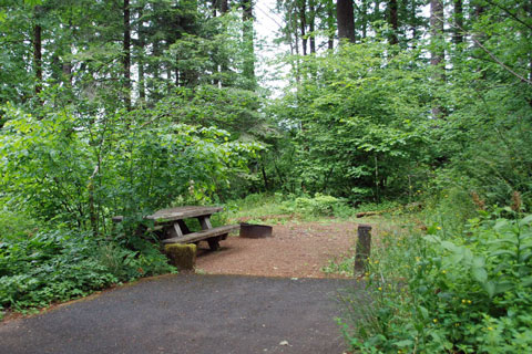 Eagle Creek Overlook Group Campground Camping, Cascade Locks, OR