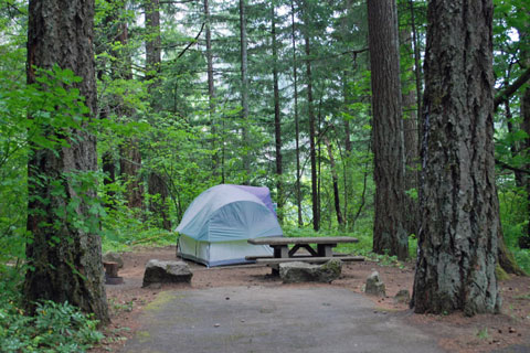 Eagle Creek Overlook Group Campground Camping, Cascade Locks, OR