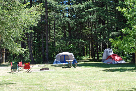 Cascara Campground, Fall Creek State Recreation Area, Oregon