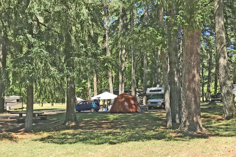 Schwarz Park Campground, Oregon