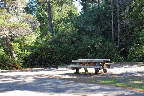 Lagoon Campground, Siuslaw National Forest, Oregon