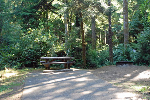 Tahkenitch Campground, Siuslaw National Forest, Oregon
