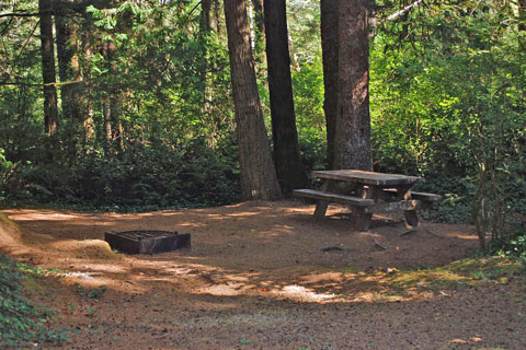 Tahkenitch Campground, Siuslaw National Forest, Oregon