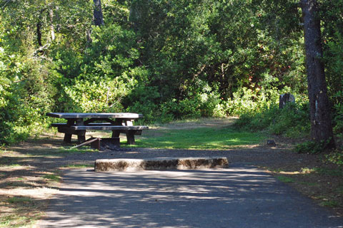 Waxmyrtle Campground, Siuslaw National Forest, Oregon