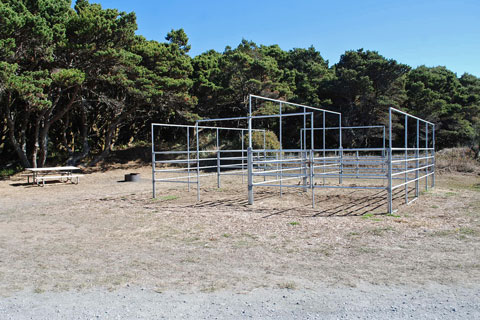 Bullards Beach State Park Horse Camp