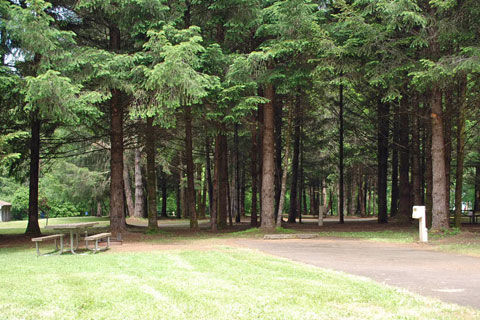 Richardson Park Campground, Lane County, Oregon