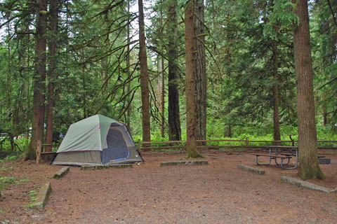 Oxbow Regional  Park Campground,  Oregon