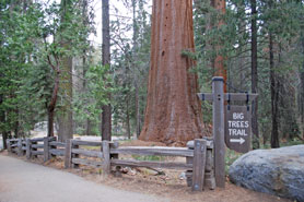 Sequoia National  Park, Lake Tahoe, California