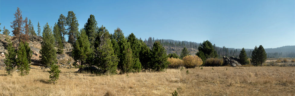 Sandhill Crossing Campground, Fremont-Winema  National Forest, Oregon