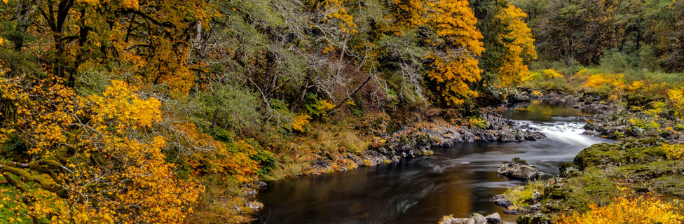 Tillamook State Forest, Tillamook County, Oregon