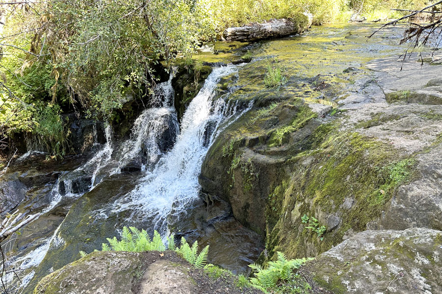 Alsea Falls, Oregon