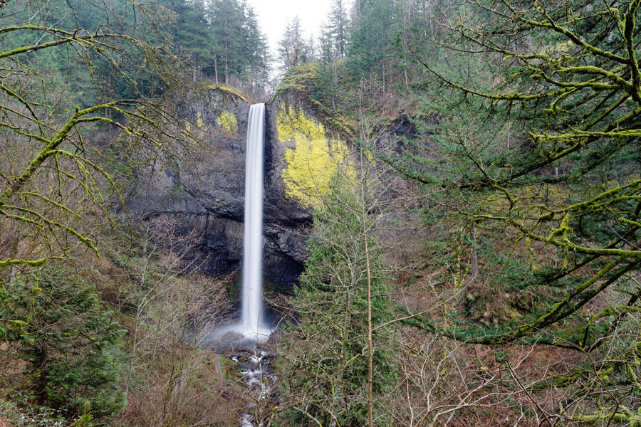 Columbia Gorge Waterfall, Ainsworth  State Park Campground, Multnomah County, Oregon