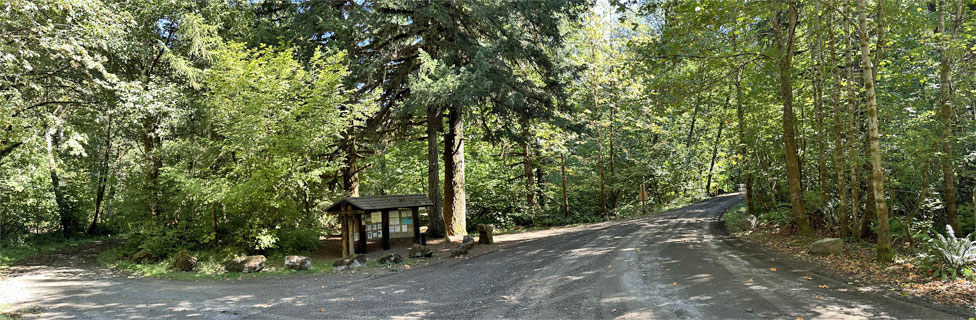 Gales Creek Campground, Tillamook State Forest, Oregon