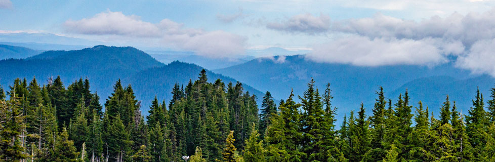 Acker Rock Lookout